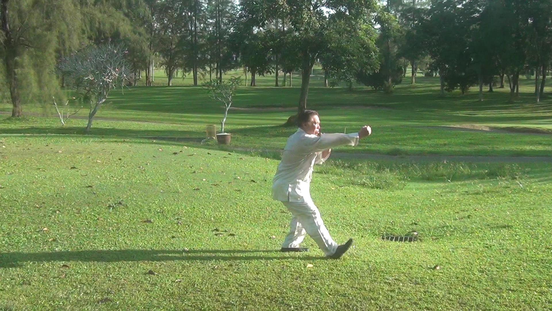 Crushing Fist of Praying Mantis Kungfu in Pictures